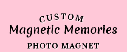Magnetic Memories 